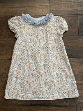 Girls Floral Dress with Blue Ruffle Collar